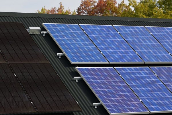 LG Black solar panels versus poly panels